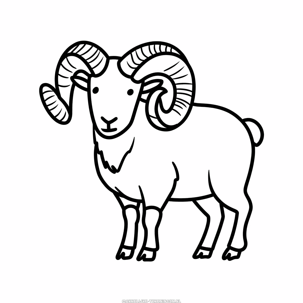 Bighorn schaap Makkelijke Tekening