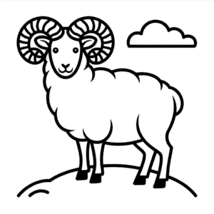 Tekening Bergschaap