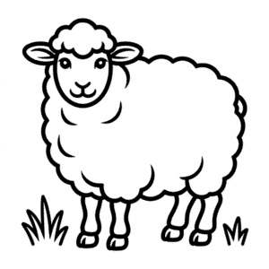 Tekening Dorset schaap