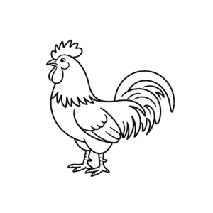 Tekening Haan dier