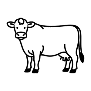Tekening Jersey koe