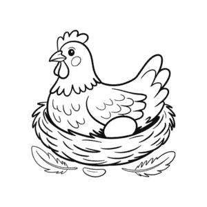 Tekening Kip legt ei