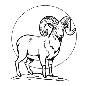 Tekening Realistische dikhoornschapen