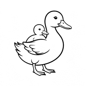 Tekening Eend Draagt Baby