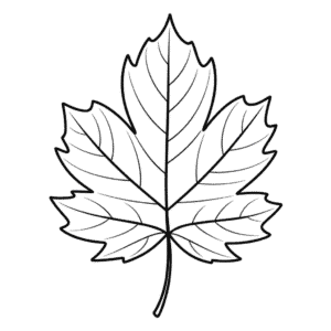 Tekening Herfstblad