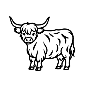 Tekening Hoogland koe