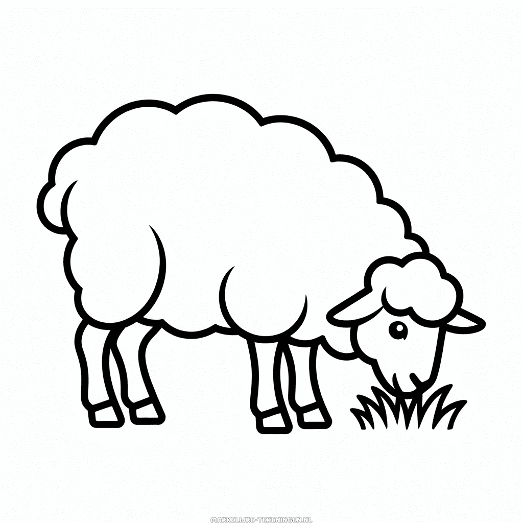 Tekening Schaap Eet Gras