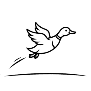 Tekening Vliegende Eend