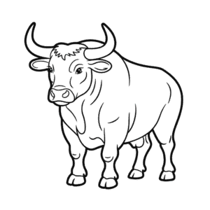 Tekening Volwassen stier